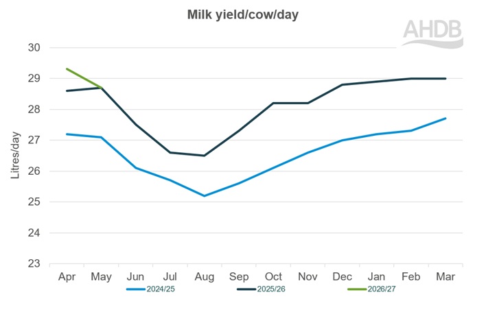 A line graph up to May 2026 for Kingshay milk yield per cow graph last 3 years.